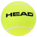 Balle de tennis Head  Medium Tennis Promo Ball