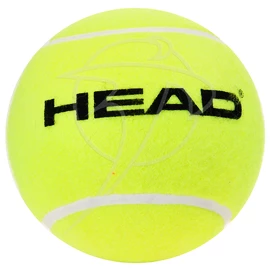 Balle de tennis Head Medium Tennis Promo Ball