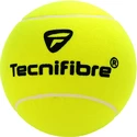 Balle de tennis Tecnifibre  Giant Promo Ball