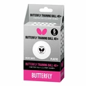 Balles Butterfly  Training Ball 40+ White (6 ks)