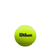 Balles de padel Wilson  Premier Padel Ball X3