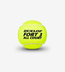 Balles de tennis Dunlop  Fort All Court TS