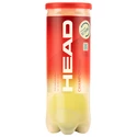 Balles de tennis Head  Championship (3 Pack)