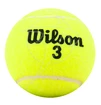 Balles de tennis Wilson  Championship (4 Pack)