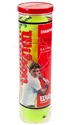 Balles de tennis Wilson  Championship (4 Pack)