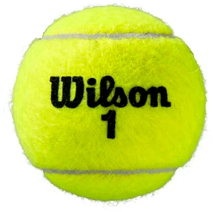 Balles de tennis Wilson  Roland Garros Clay (3 Pack)