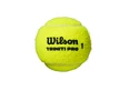 Balles de tennis Wilson  Triniti Pro (4 Pack)