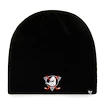 Bonnet d'hiver 47 Brand Beanie NHL Anaheim Ducks