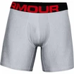 Caleçons pour homme Under Armour  Tech 6" 2 Pack grey Dynamic