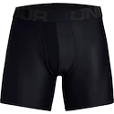 Caleçons pour homme Under Armour  Tech 6in 2 Pack-BLK S