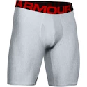 Caleçons pour homme Under Armour  Tech 9in 2 Pack grey Dynamic