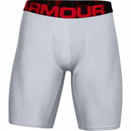 Caleçons pour homme Under Armour Tech 9in 2 Pack grey Dynamic