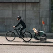 Chariot à vélo pour chien Thule Bexey Hazy Green L