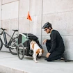 Chariot à vélo pour chien Thule Bexey Hazy Green L