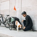 Chariot à vélo pour chien Thule Bexey Hazy Green L