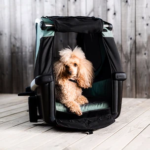 Chariot à vélo pour chien Thule Bexey Hazy Green L