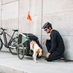 Chariot à vélo pour chien Thule Bexey Hazy Green M