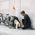 Chariot à vélo pour chien Thule Bexey Hazy Green M