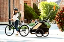 Chariot d’enfant Thule Chariot Cab Aluminum/Cypress Green