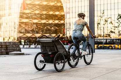 Chariot d’enfant Thule Chariot Lite double Aluminum/Agave