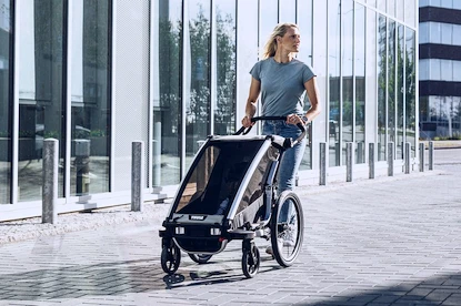 Chariot d’enfant Thule Chariot Lite double Aluminum/Agave