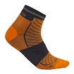 Chaussettes pour homme Icebreaker Merino Run+ Ultralight Mini Ray/Graphite