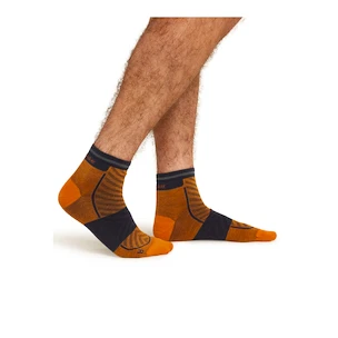 Chaussettes pour homme Icebreaker Merino Run+ Ultralight Mini Ray/Graphite