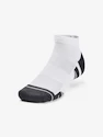 Chaussettes Under Armour  Performance Tech 3pk Low-WHT