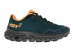 Chaussures d'extérieur pour femme Inov-8  Rocfly G 350 Pine/Nectar