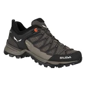 Chaussures d'extérieur pour femme Salewa  WS MTN Trainer Lite GTX