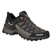 Chaussures d'extérieur pour femme Salewa  WS MTN Trainer Lite GTX  UK 6