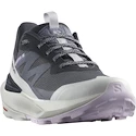 Chaussures d'extérieur pour femme Salomon Elixir Activ Gore-Tex India Ink/Glacier Gray/Orchid Petal