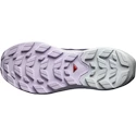 Chaussures d'extérieur pour femme Salomon Elixir Activ Gore-Tex India Ink/Glacier Gray/Orchid Petal