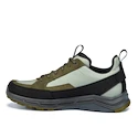 Chaussures d'extérieur pour homme Hanwag Rotpunkt Light Low GTX Deep Olive/Light Olive