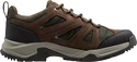 Chaussures d'extérieur pour homme Helly Hansen  Switchback Trail Low HT Bushwacker/Forest Night