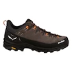 Chaussures d'extérieur pour homme Salewa  Alp Trainer 2 Bungee Cord/Black  UK 9,5