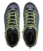 Chaussures d'extérieur pour homme Salewa  MS Alp Mate Mid PTX Ombre Blue/Pale Frog