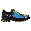 Chaussures d'extérieur pour homme Salewa  MS MTN Trainer 2 Gtx Blue Danube/Fluo Green