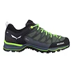 Chaussures d'extérieur pour homme Salewa  MS MTN Trainer Lite Gtx Myrtle/Ombre Blue