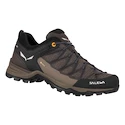 Chaussures d'extérieur pour homme Salewa  MS MTN Trainer Lite Gtx  Wallnut/Fluo Orange  UK 11