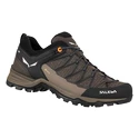 Chaussures d'extérieur pour homme Salewa  MTN Trainer Lite GTX