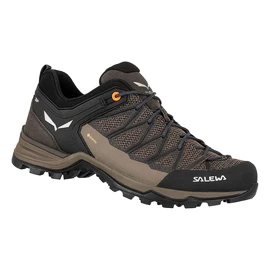 Chaussures d'extérieur pour homme Salewa MTN Trainer Lite GTX