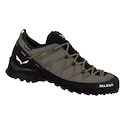 Chaussures d'extérieur pour homme Salewa  Wildfire 2 Gtx M Bungee Cord/Black