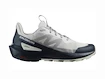 Chaussures d'extérieur pour homme Salomon  ELIXIR ACTIV Glacier Gray/Carbon/Slate Green  UK 11,5