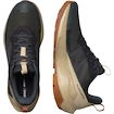 Chaussures d'extérieur pour homme Salomon Elixir Activ Gore-Tex Phantom/Safari/Caramel Cafe