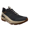 Chaussures d'extérieur pour homme Salomon Elixir Activ Gore-Tex Phantom/Safari/Caramel Cafe