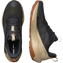 Chaussures d'extérieur pour homme Salomon Elixir Activ Gore-Tex Phantom/Safari/Caramel Cafe