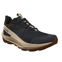 Chaussures d'extérieur pour homme Salomon Elixir Activ Gore-Tex Phantom/Safari/Caramel Cafe