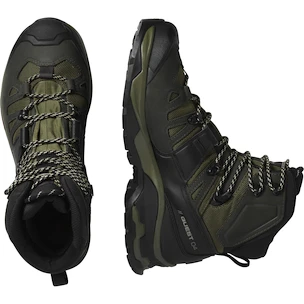 Chaussures d'extérieur pour homme Salomon Quest 4 Gore-Tex Olive Night/Peat/Safari  UK 8,5