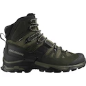 Chaussures d'extérieur pour homme Salomon Quest 4 Gore-Tex Olive Night/Peat/Safari  UK 8,5